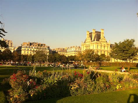 Jardin Des Tuileries à Paris Dolores Park Park Travel
