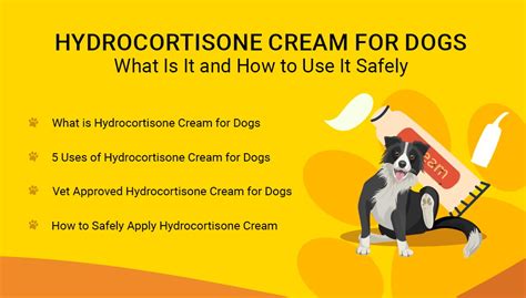 Hydrocortisone Cream For Dogs What Is It And How To Use It Safely