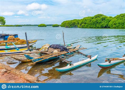 Traditional Catamarans Mooring At The Shore Of Negombo Lagoon In Stock