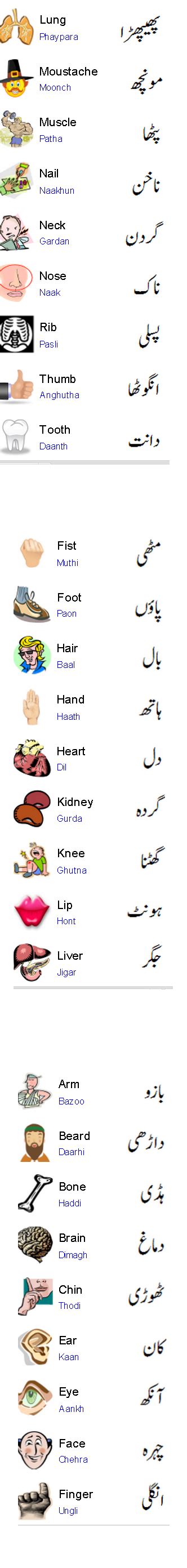 1st and 2nd by teacheraina. Human Body Parts Name In English To Urdu With Pictures For ...