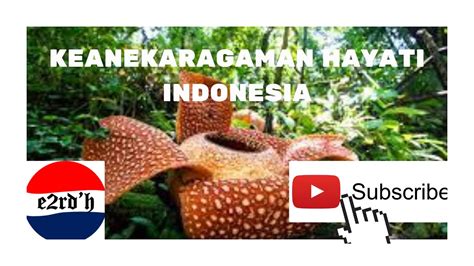 Keanekaragaman Hayati Di Indonesia Youtube