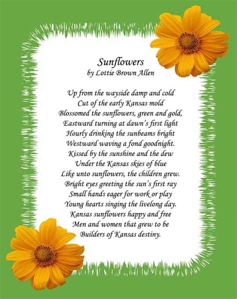 20 Short Sunflowers Poems Quotes About Love And Life