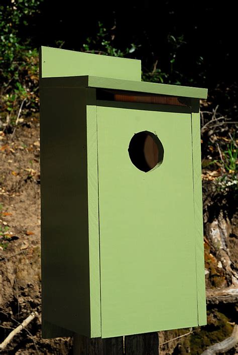 Great Horned Owl Nest Box
