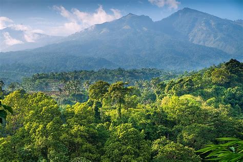 5 Countries With The Largest Rainforest Coverage Worldatlas