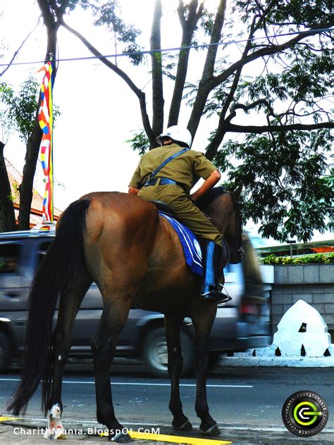 CharithMania: Kandy Police & Mounted Police