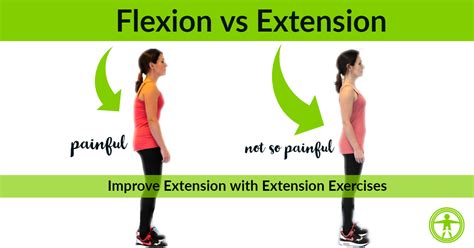 Back Extension Progressions For Lower Back Pain And Flexibility Family Health Chiropractic