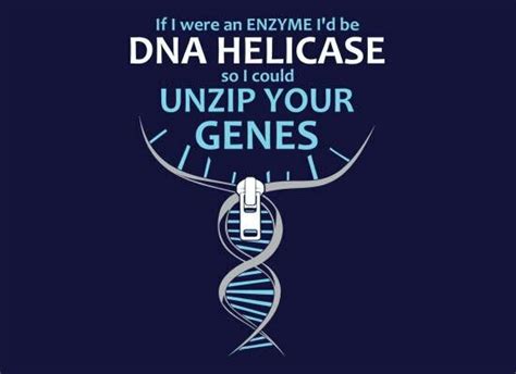 Dna Jokes Nerdy Jokes Biology Jokes Science Jokes