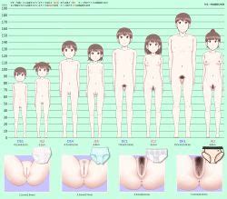 Rule Dev Age Difference Age Progression Artist Request Breasts