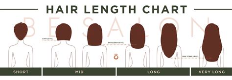Hair Length Guide And Price List — Be Salon Improving Your Life One
