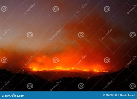 Large Forest Wildfire At Night Editorial Image Image Of Island 2021