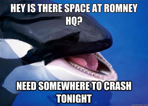 Orca Fail Whale Memes Quickmeme