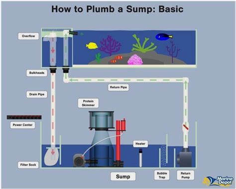 Designing A Reef Filtration System Is Easy With Marine Depot’s Complete Plumbing Guide