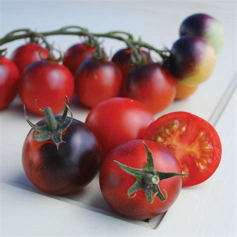 Indigo Cherry Drop Tomato Cherrygrape Tomato Seeds