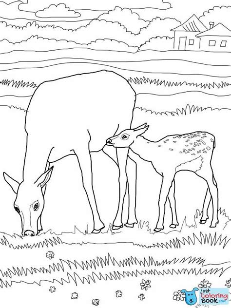 I have thousands of printable coloring pages! Download Mother And Baby Elk Coloring Pages (With images ...