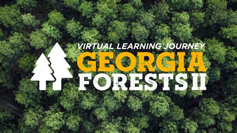 Georgia Forests Ii Virtual Learning Journey Pbs Learningmedia