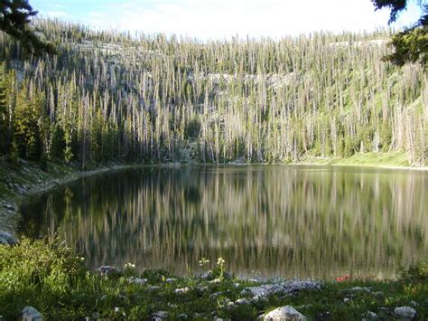 Emerald Lake Utah Shutterbug