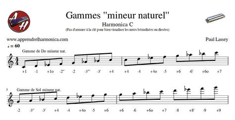 Les Gammes Naturel Mineur Harmonica C Et Harmonica Chromatique