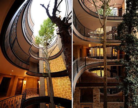 Combination Of Architecture And Nature Creative Tree House Around