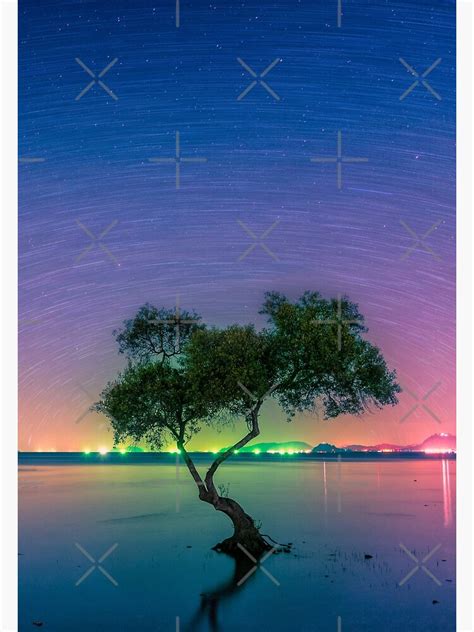 Rainbow Wisdom Poster By Magesh Redbubble