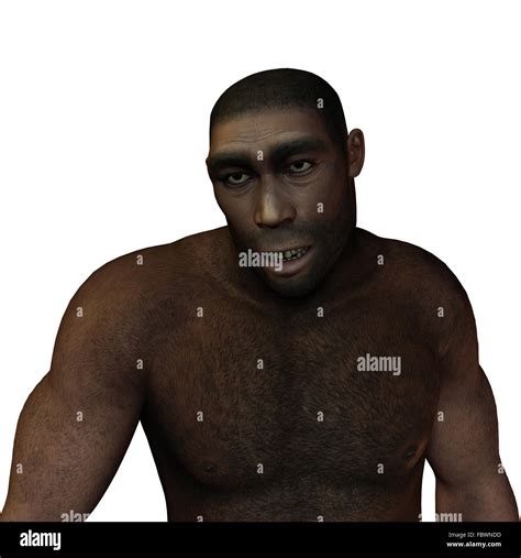 Early Humans Homo Erectus Stock Photo Royalty Free Image 93378697 Alamy