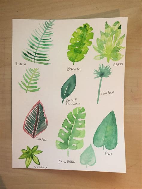 Tropical Leaves Watercolor Skillshare Student Project