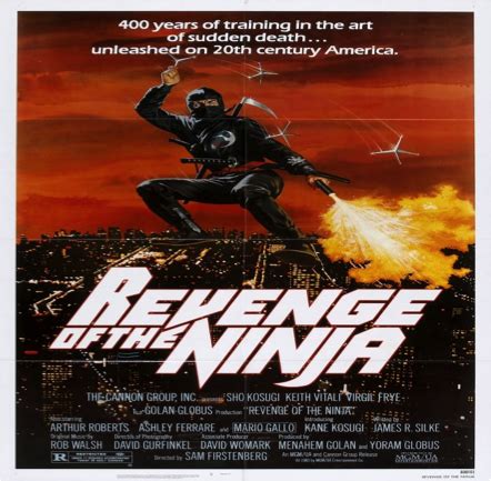 Revenge Of The Ninja