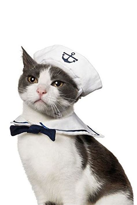 Find costumes for adults and kids and get scary dress up ideas for halloween or 2021 book week ideas for children and teachers too. 30 Pet Cat Halloween Costumes 2017 - Cute Ideas for Cat ...