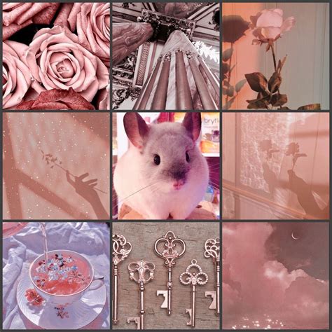 Rose Gold Aesthetic Moodboard Aesthetic Themes Aesthetic Collage