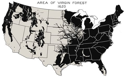 Deforestation In The United States Wikipedia
