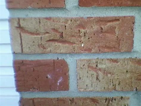Brick Type Diynot Forums