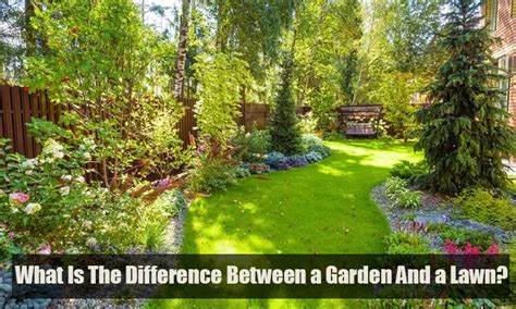 What Is The Difference Between A Garden And A Lawn
