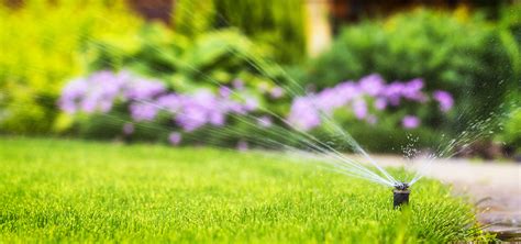 The Importance Of Landscape Irrigation And Maintenance