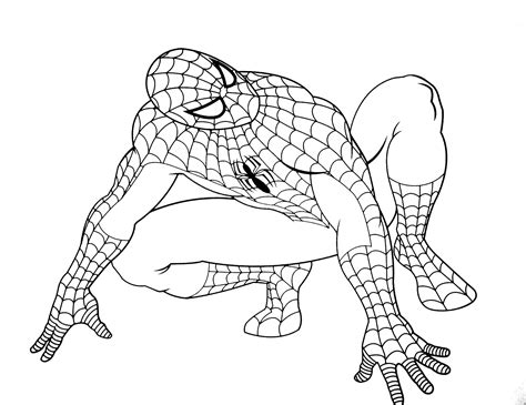 13+ dibujos para colorear de biologia gif. Dibujos para colorear de Spiderman
