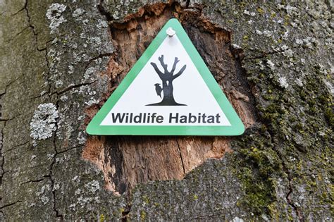New Signs Protect Garrison Trees Habitats Article The United