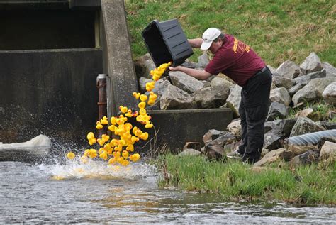 5 Things To Do Rubber Duck Derby Father Daughter Dance