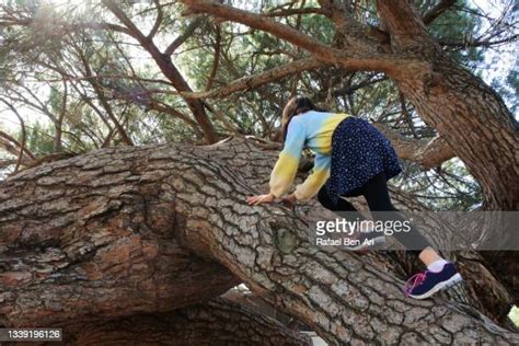 Girls Climbing Trees Photos And Premium High Res Pictures Getty Images