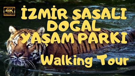 Walking Tour Of Sasali Do Al Ya Am Parki Izmir Turkey K Uhd Fps
