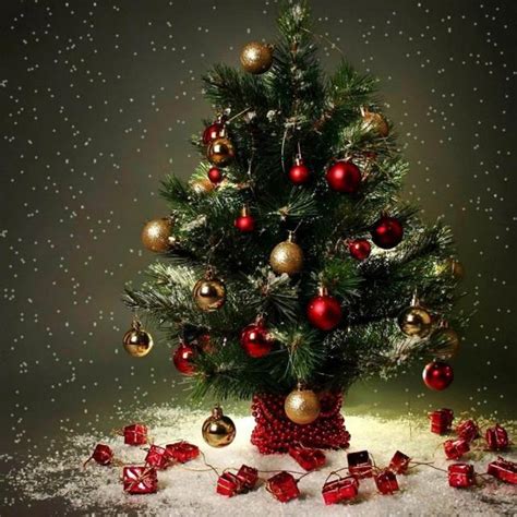 Ini adalah pohon natal ajaib. Pohon Natal Coc Dari Tahun Ke Tahun : The Romp Family 15 ...