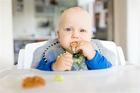 Baby Led Weaning los mejores alimentos para iniciar a tu bebé en la alimentación complementaria