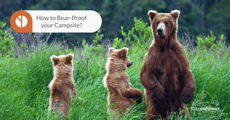 If you are at the campsite, it is best to keep your food in a cooler or your car unless you are cooking or eating. How to Keep Bears Away from Campsite (and react if you see ...