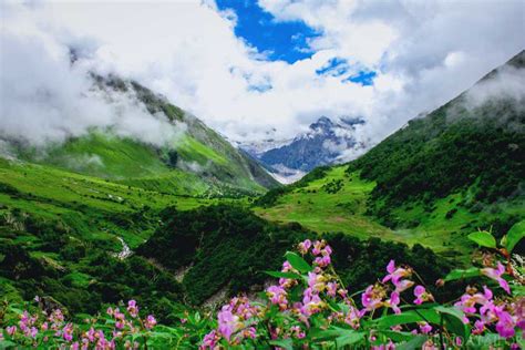 Laura Frei Valley Of Flowers Best Time To Visit Waterfalls On The