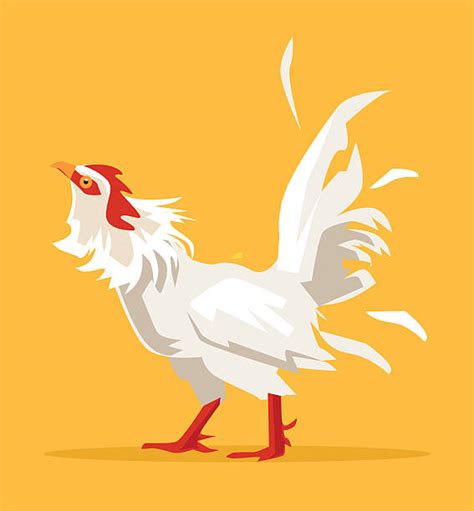 80 Rooster Crowing At Dawn Background Stock Illustrations Royalty Free Vector Graphics And Clip