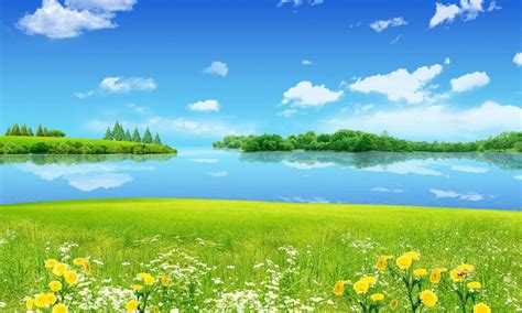 Summer Landscape Meadow With Green Grass Wild Flowers Blue Sky