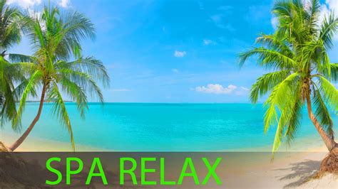 8 Hour Super Relaxing Spa Music Massage Music Background Music Relaxing Music ☯391 Youtube