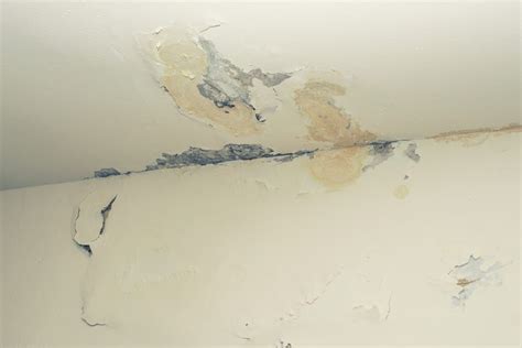 Silicone Damp Proofing Injectionandwaterproofing Treatments In Brighton