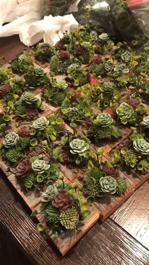 Succulent Centerpieces I Made For My Wedding Rcrafts