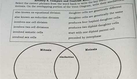 Additional Activities Activity 5, Compare and Contrast Mitosis and