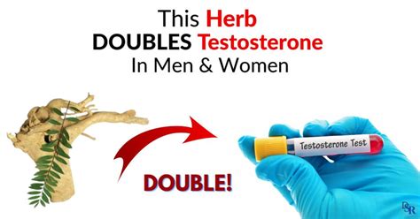 This Herb Doubles Testosterone In Men And Women Clinically Proven Dr Sam Robbins