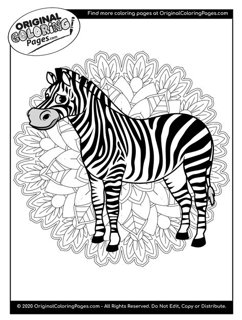 Zebra Coloring Pages Coloring Pages Original Coloring Pages