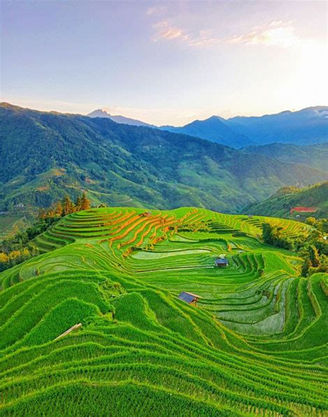 The Splendor Of Hoang Su Phis Terraced Paddy Fields